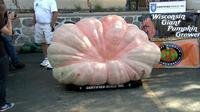 buah labu raksasa dengan bobot mencapai 2145 pound atau sekitar 975 Kg. Wow!