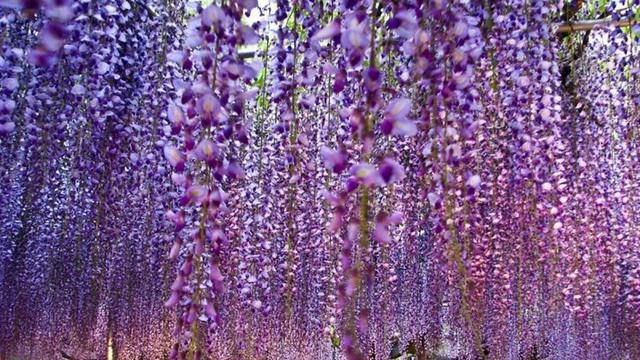 Mencengangkan Ternyata 12 Keindahan Alam Ini Ada Di Dunia Lifestyle Liputan6 Com Estetika atau filsafat keindahan adalah salah satu bidang keilmuan seni yang utama. 12 keindahan alam ini ada di dunia