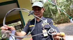 Petugas Rhino Protection Unit (RPU) menunjukkan barang bukti kawat jerat untuk menangkap harimau di Taman Nasional Way Kambas, Lampung, Jumat (6/11). Sejumlah satwa liar saat ini masih jadi incaran pemburu. (Liputan6.com/Fery Pradolo)
