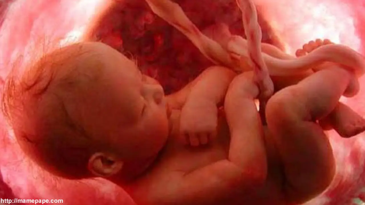 bayi-ereksi130501c.jpg