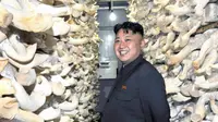 Korea Utara Buat Minuman Olahraga dari Jamur
