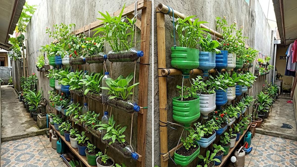 8 Cara Membuat Kebun Vertikal dari Galon Bekas dan Botol Plastik di Lahan Sempit
