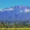 Puncak Gunung Raung Terbakar, Jalur Pendakian Ditutup