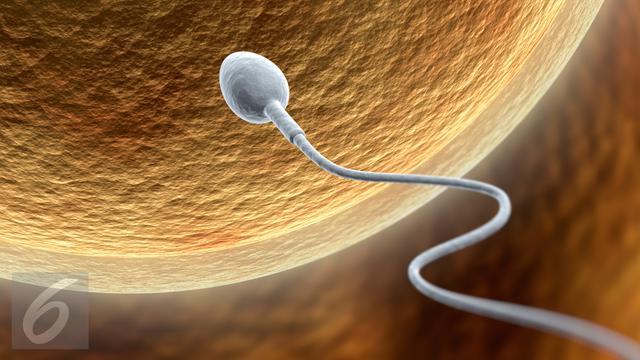 Ciri Sperma Tidak Sehat dan Tips Menjaga Kulitasnya