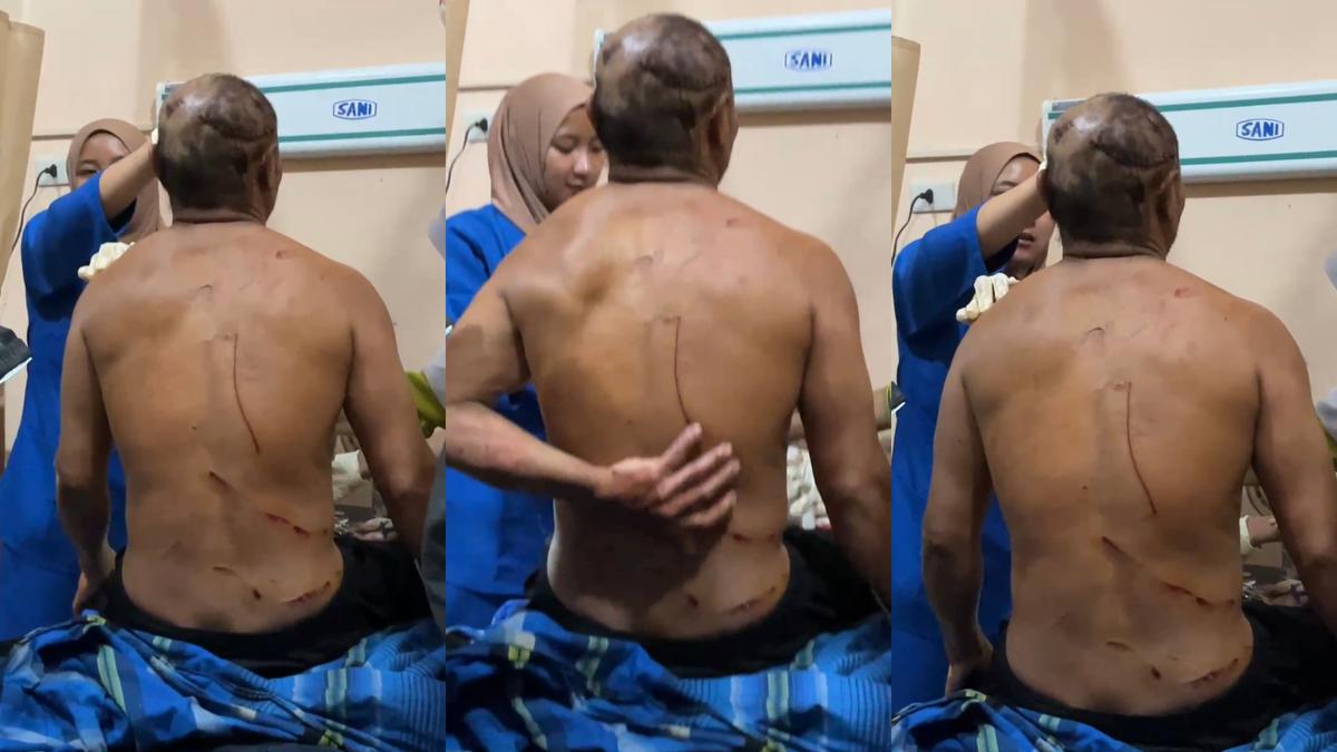 Kronologi Petani di Lampung Barat Diterkam Harimau Saat Naik Motor Sepulang dari Kebun