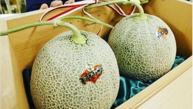 Melon Yubari