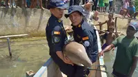 KKP melaksanakan pelepasliaran spesies dilindungi dugong di perairan Distrik Seget, Kabupaten Sorong, Papua Barat, Senin (18/3/2019).