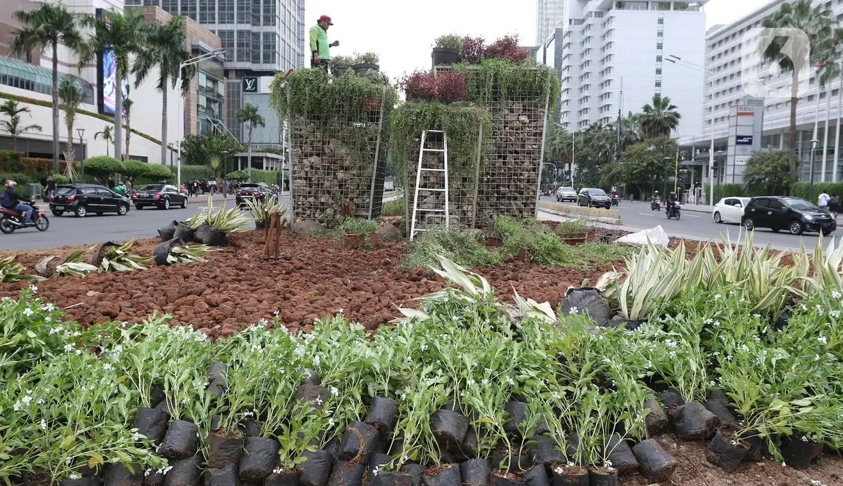 Petugas merapikan tanaman di dekat instalasi batu gabion yang kembali dipasang di kawasan Bundaran HI, Jakarta, Sabtu (4/1/2020). Instalasi gabion di lokasi yang sama tersebut sempat dibongkar sementara untuk dijadikan panggung saat perayaan malam tahun baru. (Liputan6.com/Herman Zakharia)