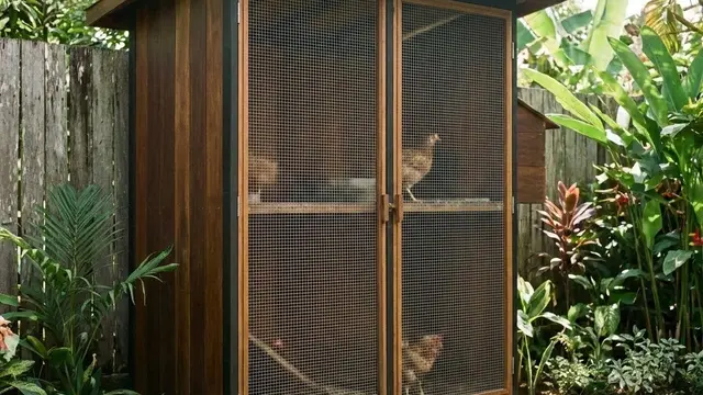 Desain Kandang Ayam Kombinasi Kayu dan Kawat Galvanis Premium