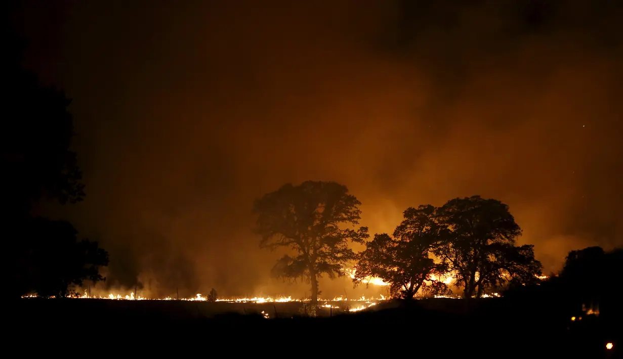 Kebakaran besar terjadi di sebelah utara Kota San Francisco. Api dilaporkan telah melalap lahan seluas lebih dari 145 kilometer per segi, California, Amerika Serikat, Senin (3/8/2015). (Reuters/ Stephen Lam) 