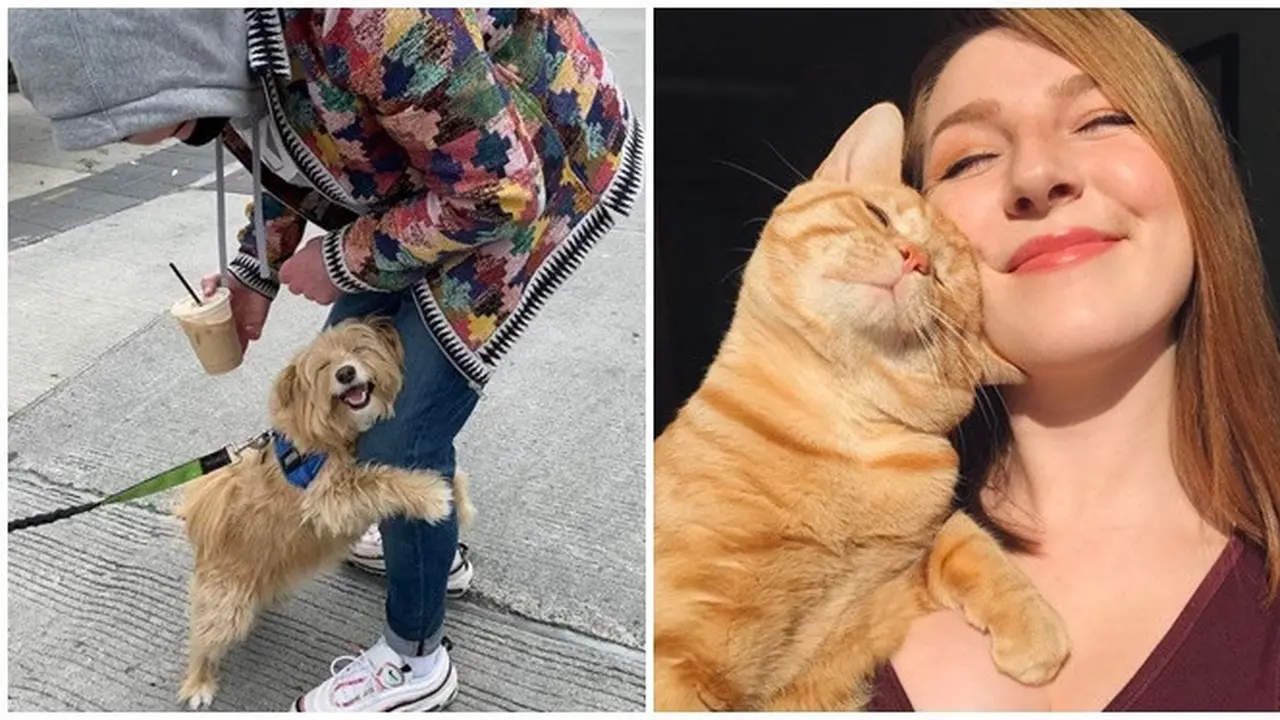 6 Potret Hewan Peliharaan Saat Bermanja dengan Pemiliknya Ini Bikin Gemas