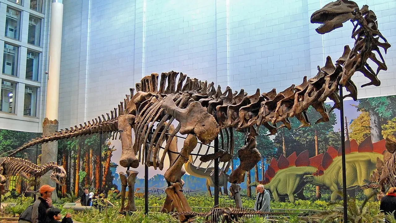 Penemuan Menakjubkan, Dinosaurus Sauropoda Baru Terungkap di Tanah Argentina