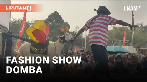 VIDEO: Unik, Puluhan Domba Hias Lenggak-Lenggok di Atas Panggung