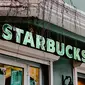 Ilustrasi Starbucks Coffee Photo by kevser on Unsplash