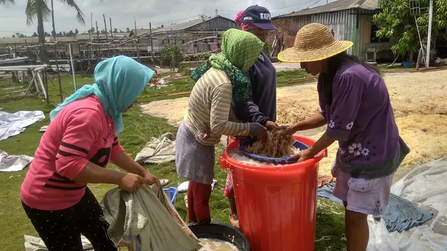 Pulau Mat Belanda
