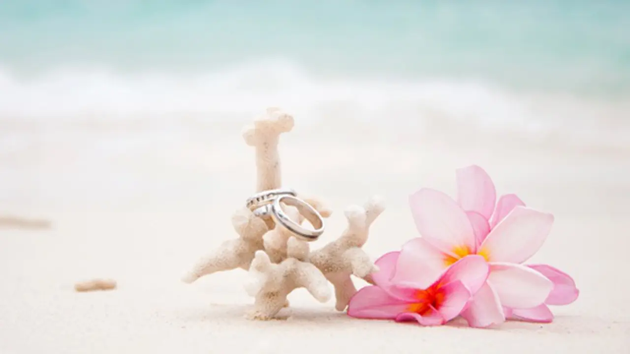 Foto: copyright Thinkstockphotos.com