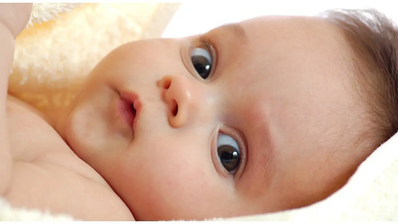 (c) sweetbabyland.com