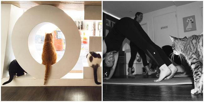 Foto: copyright brit.co