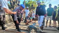 Petugas Balawista, Polisi dan warga menjinakkan buaya yang tiba tiba muncul di Pantai Legian Kuta Bali Rabu 4 Januari 2023. (Dok Humas Polresta Denpasar.