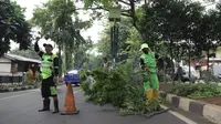 Petugas DLH Kota Tangerang melakukan penopingan untuk mencegah pohon tumbang akibat angin kencang saat musim hujan. (Liputan6.com/Pramita Tristiawati)