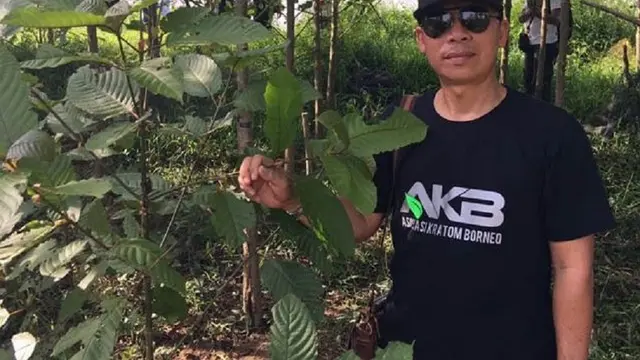 kratom
