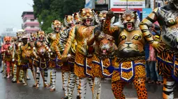 Sejumlah peserta dengan tubuh dilukis seperti harimau saat ambil bagian dalam 'Pulikali', atau tarian harimau, di Thrissur, India (7/9). Acara kesenian rakyat ini diadakan setiap tahun di kota selama festival 'Onam'. (AFP Photo/Arun Sankar)
