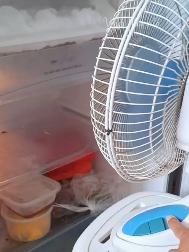 Cara Cairkan Bunga Es Kulkas yang Aman dan Ampuh, Cukup dengan Satu Alat Saja