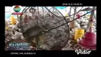 Ratusan ayam broiler yang mati tersebut milik para peternak di Kecamatan Semanding Kabupaten Tuban. Ayam yang mati terbilang cukup banyak, bisa mencapai 25 ekor per blok kandang.