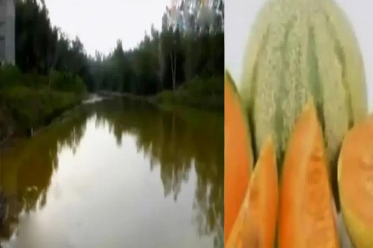 Waduk Melon