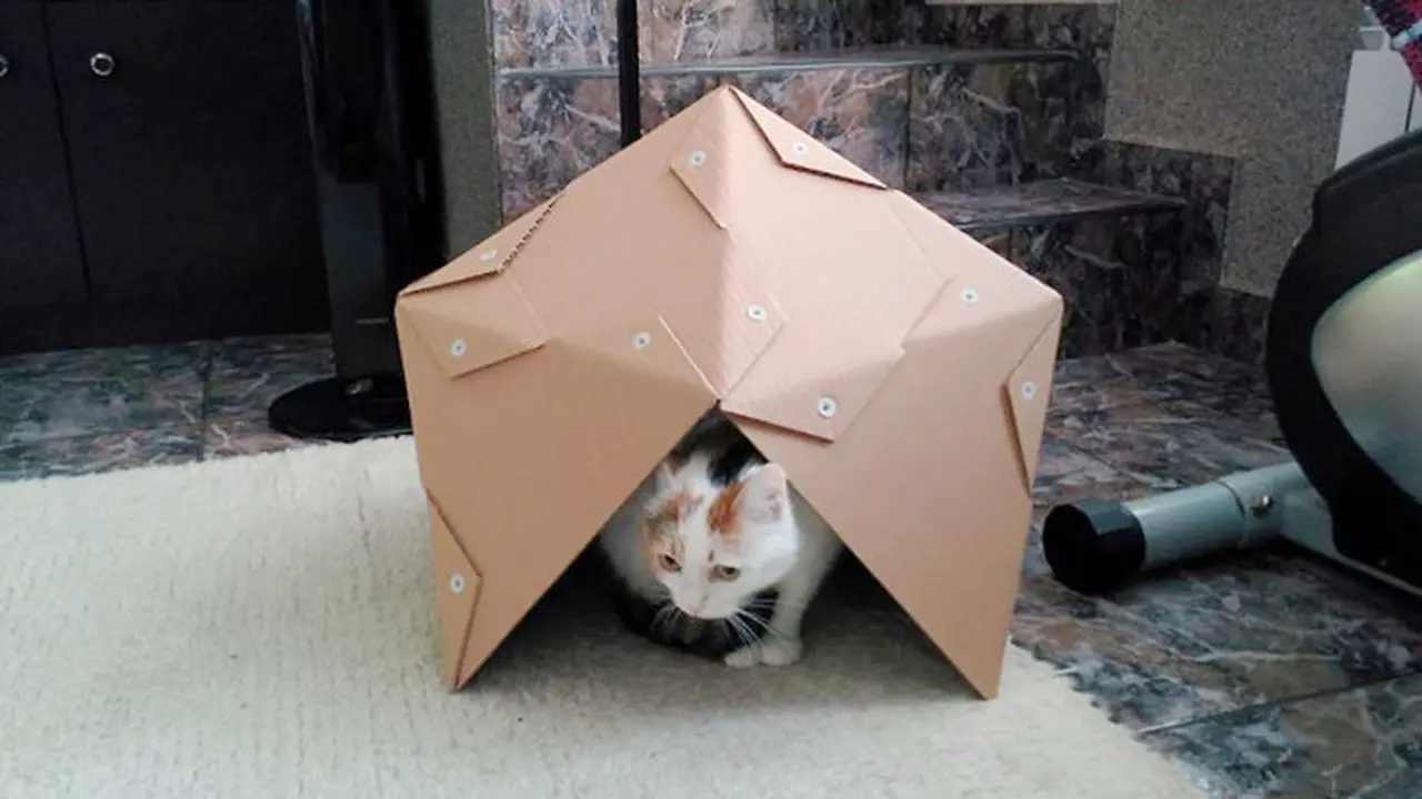 Kreasi Rumah Kucing dari Kardus (1308)