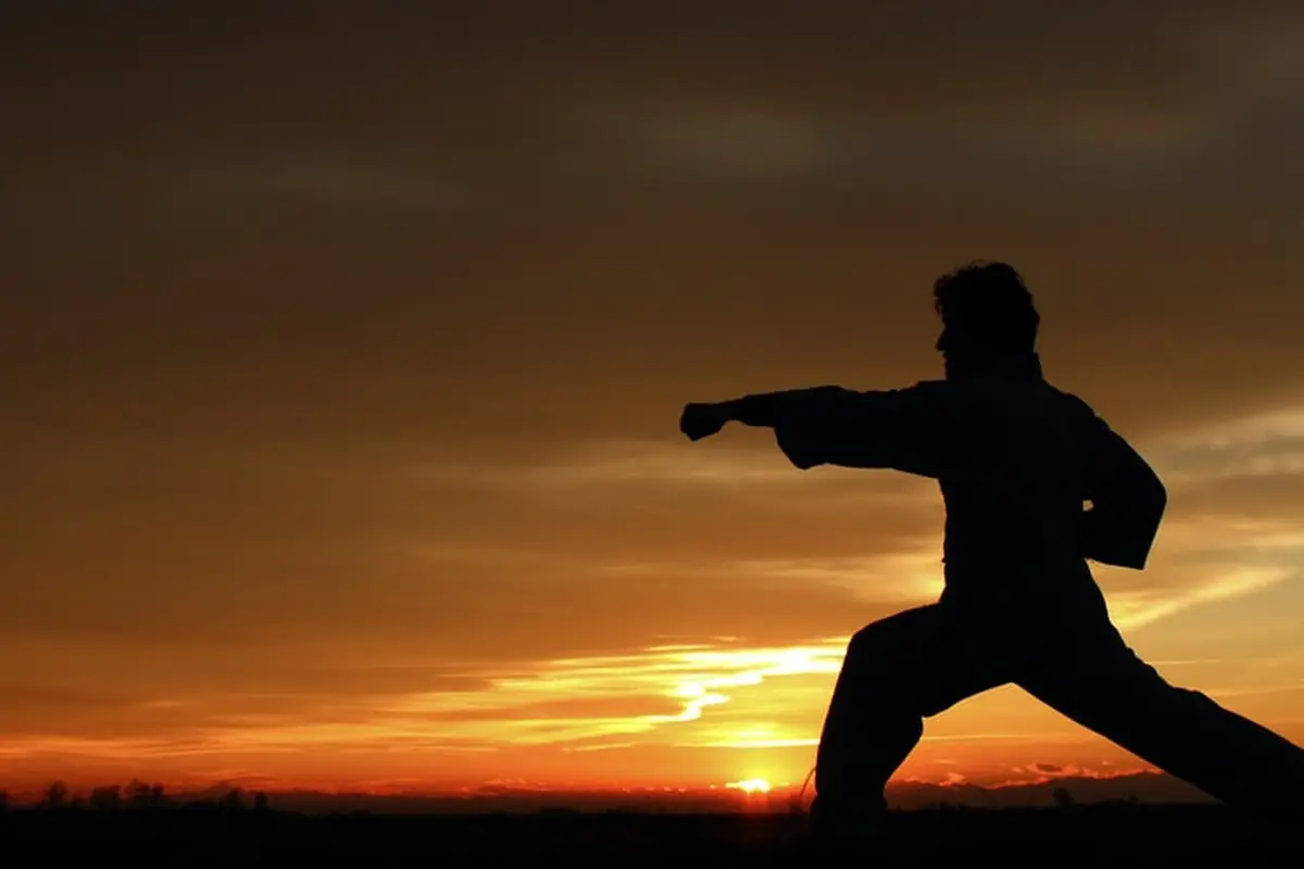 Ilustrasi kung fu