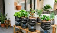 6 Inspirasi Kebun Sayur Mini dari Galon Bekas untuk Teras Rumah, Hemat Tempat dan Mudah Dibuat