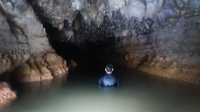 [Bintang] Jawa Timur