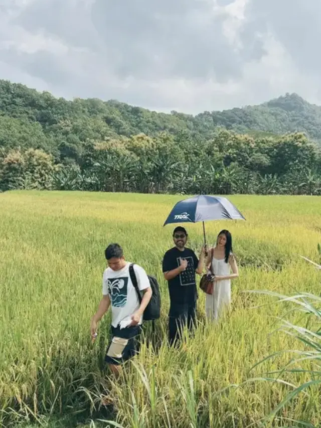 Laura Basuki Berada di Yogyakarta. [@laurabas]