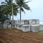 Kementerian PUPR membangun pengaman pantai di Bengkulu untuk melindungi pantai dari resiko abrasi dan erosi akibat terjangan ombak. (Dok Kementerian PUPR)