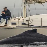 Terpaku pada ponsel, lelaki ini lewatkan momen sekali seumur hidup. (esmith_images/Instagram)