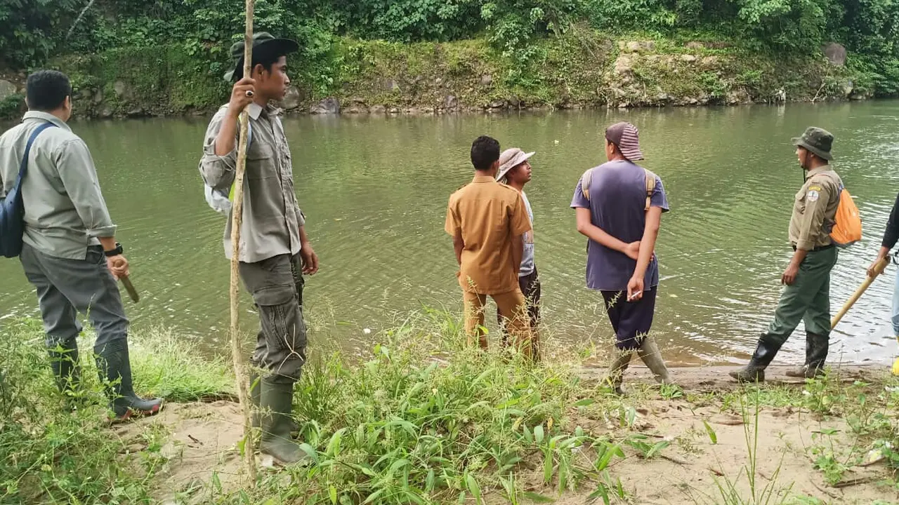 Penampakan Buaya