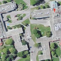 Ada bentuk yang mirip kemaluan lelaki. Ew!