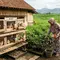 Kombinasi Ternak Hewan Mini dan Kebun untuk IRT yang Rumahnya Dekat Sawah. (Ilustrasi by AI)