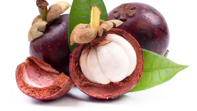 Benarkah Buah Manggis Bermanfaat untuk Tulang?