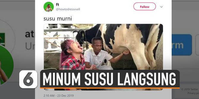 VIDEO: Bahaya Minum Susu Langsung dari Sapi Seperti Dinar Candy