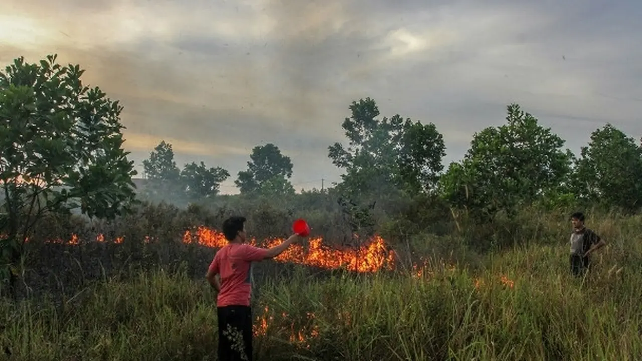Kebakaran hutan dan lahan yang terjadi di Riau