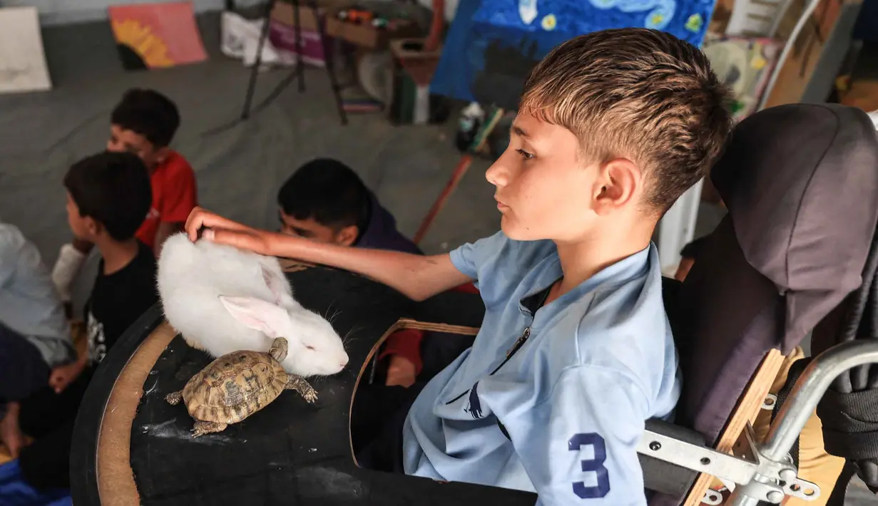 Burung juga sering dianggap memiliki sumber daya psikologis yang kuat, karena interaksinya dapat meningkatkan sistem dopamin, mengurangi rasa terisolasi, dan memberikan perasaan kasih sayang. Tampak dalam foto, seorang anak pengungsi Palestina penyandang disabilitas duduk bersama seekor kura-kura saat ia mengikuti sesi konseling psikologis di sebuah studio seni yang menggunakan hewan peliharaan dan burung di daerah Al-Zawaida, Jalur Gaza Tengah, pada Selasa 21 April 2026. (Eyad Baba/AFP)