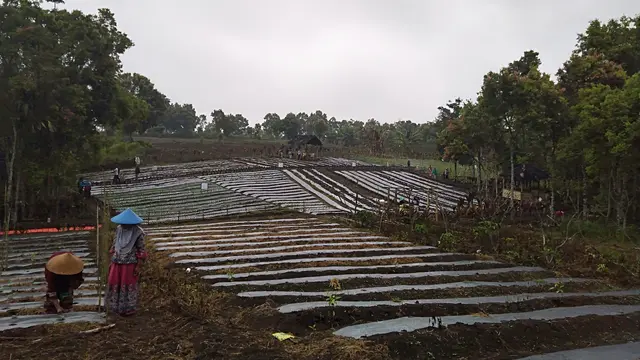 TN Kerinci Seblat