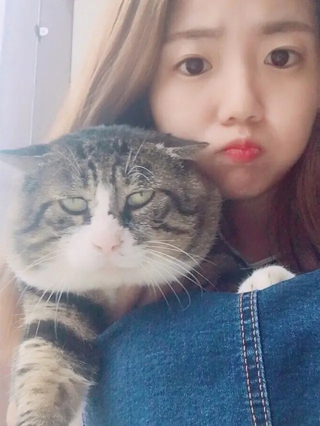 Tingkah Kocak Kucing Ini Viral Jadi Meme di Medsos