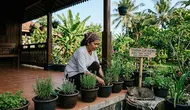 11 Tanaman untuk Mengatasi Kucing Liar yang Suka Tidur di Teras dan Mengotori Halaman