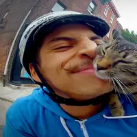 Kucing menggemaskan ini memang lain dari biasanya. Yuk, simak aksinya saat naik sepeda bareng majikannya.