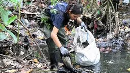 Sampah plastik tersebut seringkali tersangkut di akar, menghambat pertumbuhan mangrove, dan mencemari biota laut. Tampak dalam foto, seorang wanita membersihkan sampah plastik di area hutan bakau sebagai bagian dari kampanye kebersihan di Desa Serangan, Denpasar, Bali, pada Rabu 15 April 2026. (SONNY TUMBELAKA/AFP)