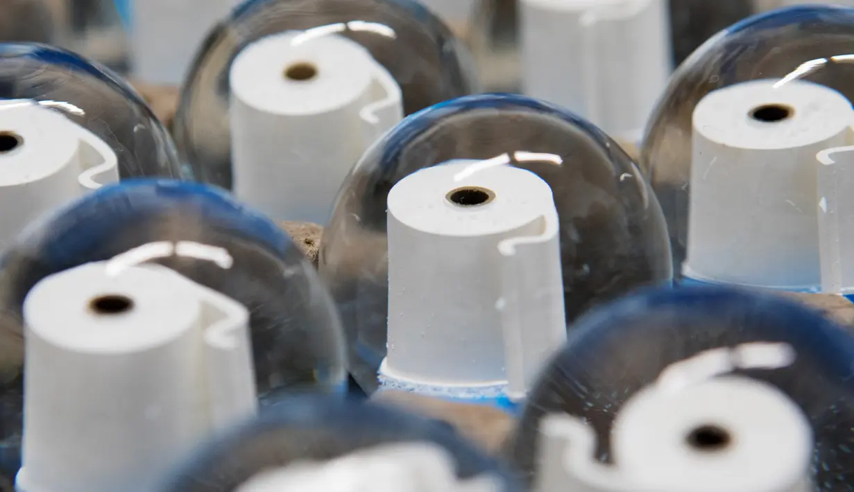 Bola salju berisi gulungan kertas toilet terlihat di perusahaan Original Vienna Snow Globes di Wina, Austria, pada 17 April 2020. Bola salju yang memiliki desain istimewa ini terinspirasi dari panic buying yang sempat melanda pada awal virus corona Covid-19. (ALEX HALADA/AFP)