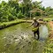 7 Peluang Usaha yang Tidak Bergantung pada Listrik, Modal Kecil dan Mudah Dijalankan